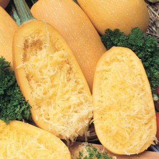 Vegetable Spaghetti Squash Thumbnail